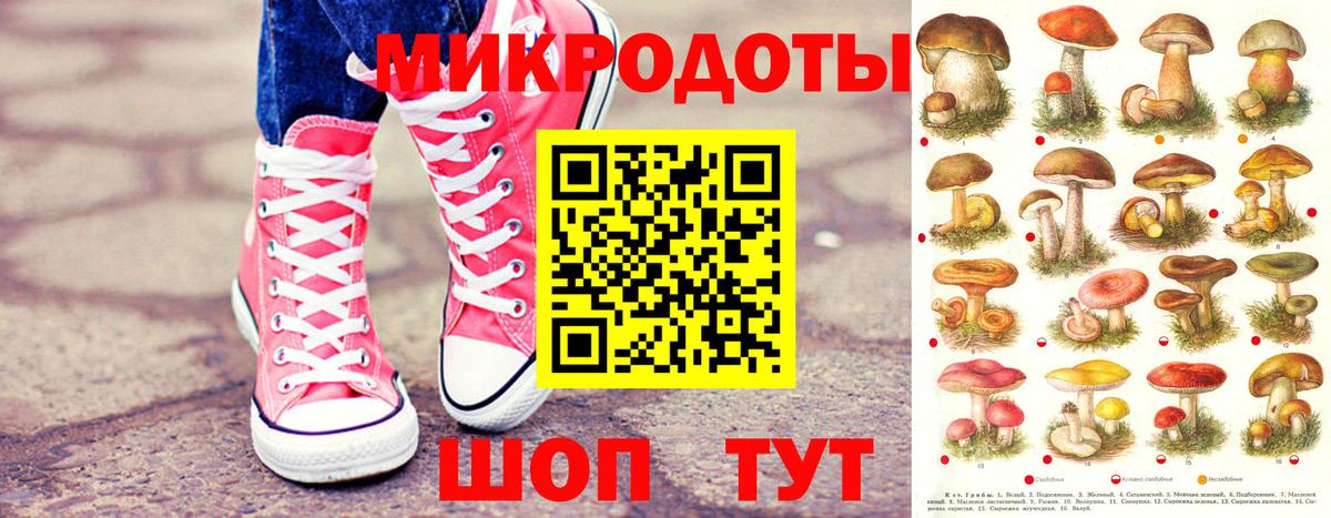 Усть-Джегута  Псилоцибиновые грибы прущие грибы  Вход с VPN 